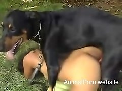 Exotic black chick actively rides dogâ€™s boner in fresh air