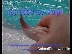 Curious zoophile touches and sucks hard bulge of trained dolphin